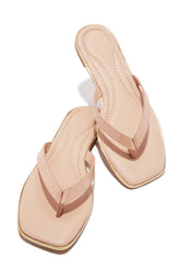 Lani Thong Sandals in Nude